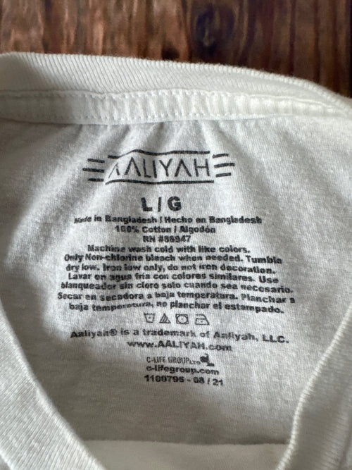 Aaliyah Portrait Graphic T-Shirt Music Artist Hip Hop R&B Tee