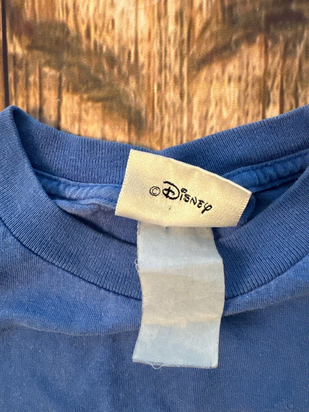 Walt Disney World Happiest Celebration on Earth Graphic Tee