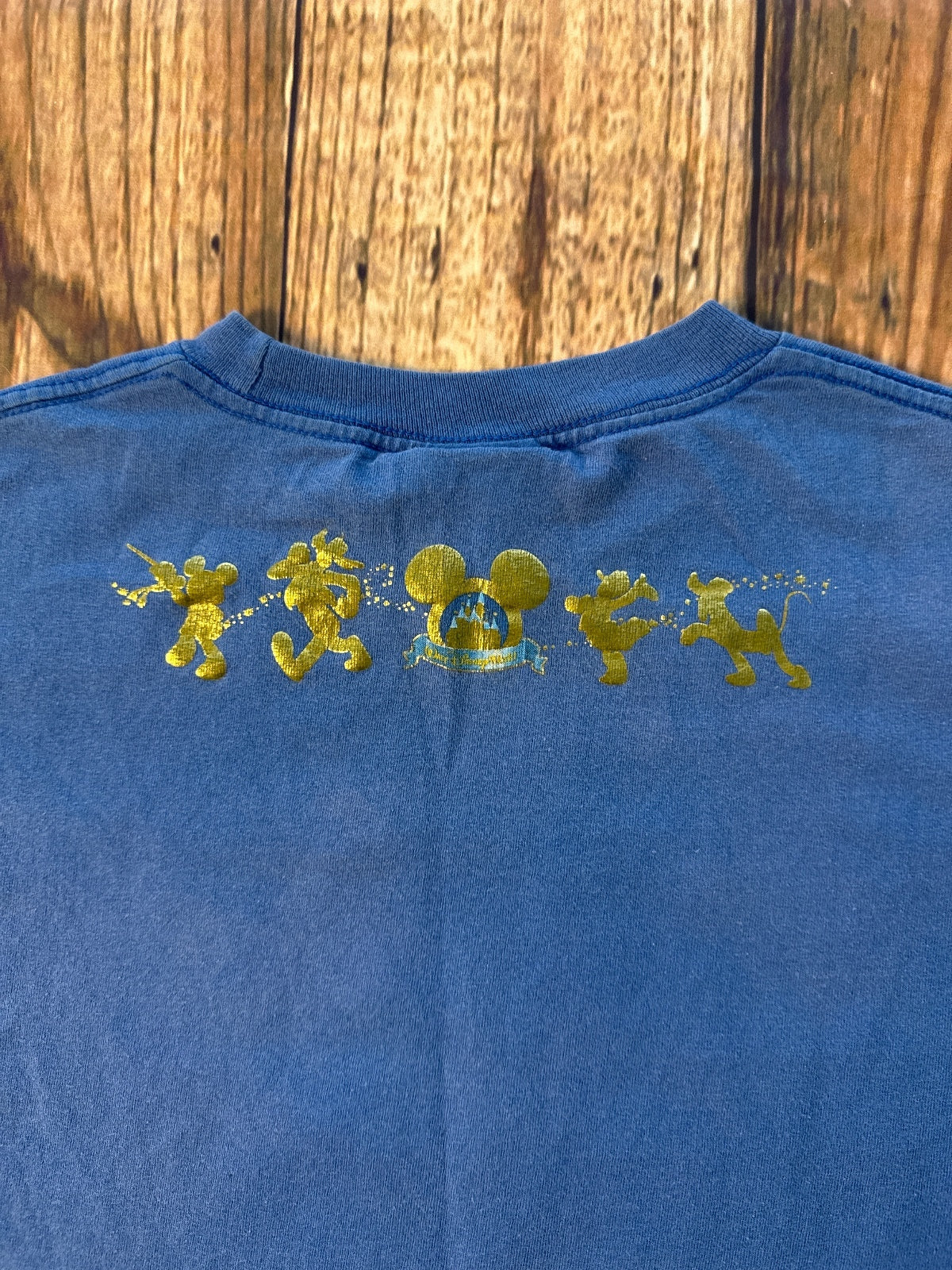 Walt Disney World Happiest Celebration on Earth Graphic Tee