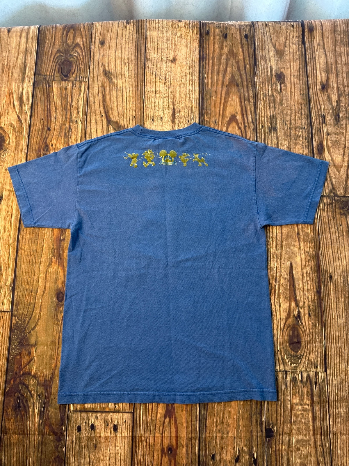 Walt Disney World Happiest Celebration on Earth Graphic Tee