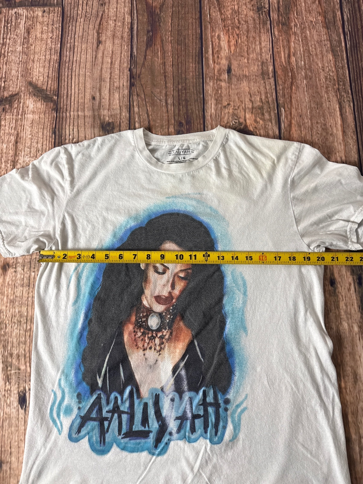 Aaliyah Portrait Graphic T-Shirt Music Artist Hip Hop R&B Tee