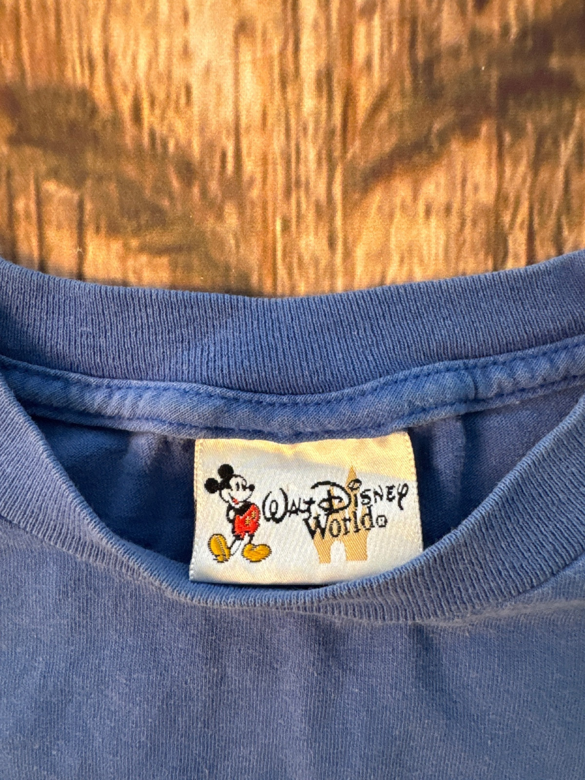 Walt Disney World Happiest Celebration on Earth Graphic Tee