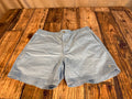 Polo Ralph Lauren Blue Swim Trunks