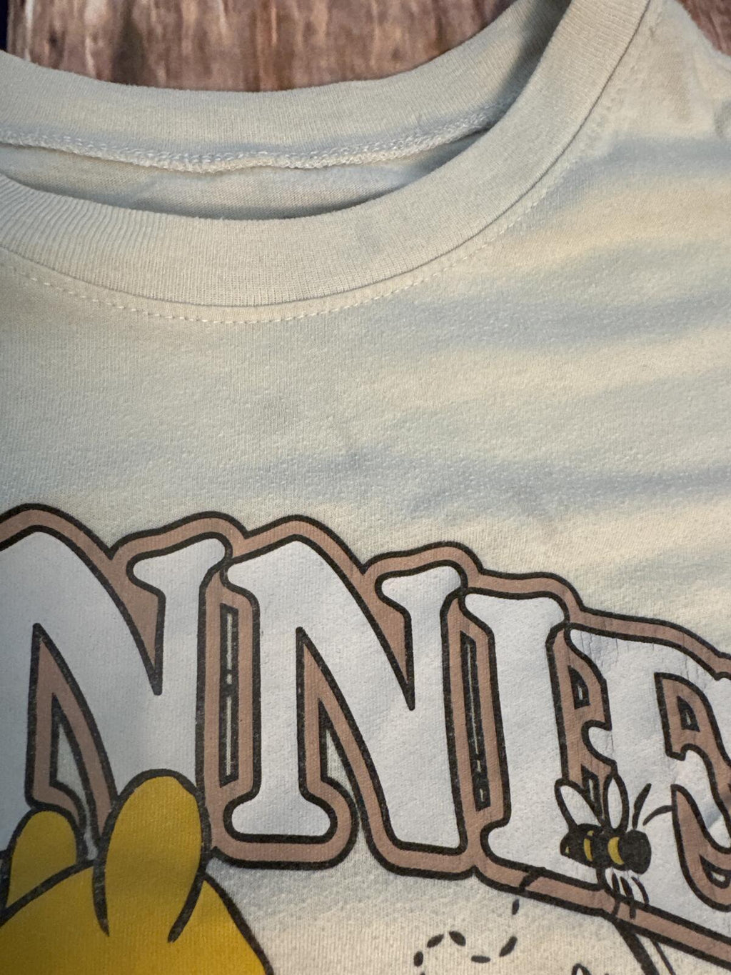 Disney Winnie The Pooh Graphic T Shirt Womens XL Beige Floral Tee