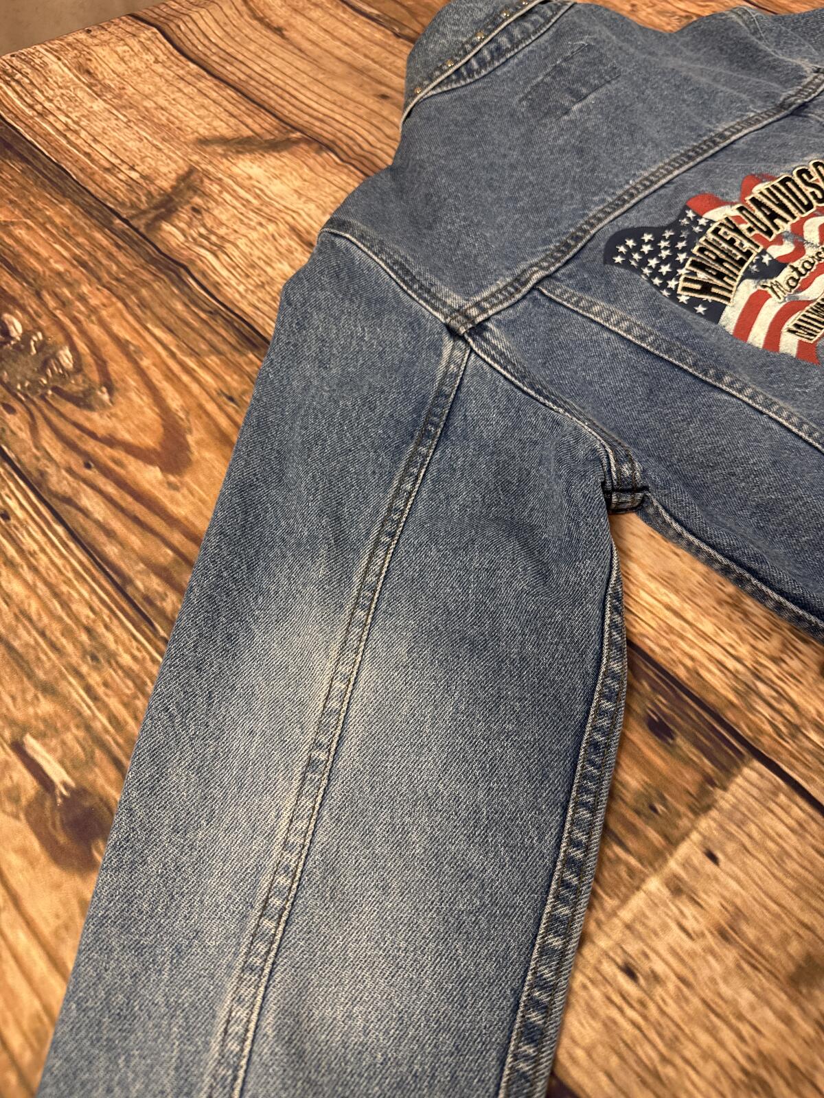 Vintage Y2K Harley-Davidson Women’s Denim Jacket Back Graphic