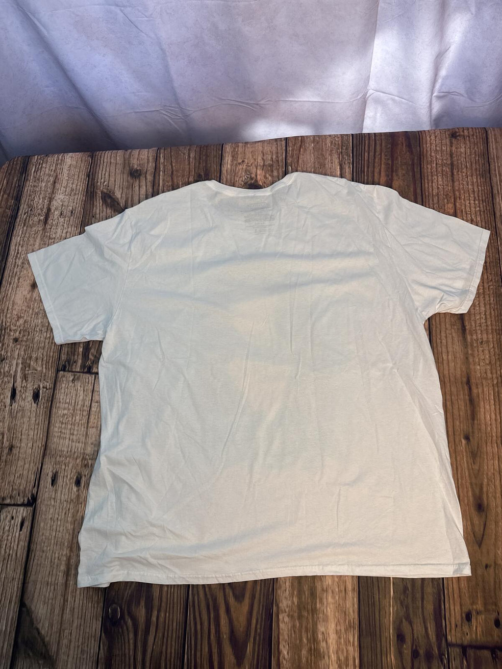 Aaliyah Graphic T Shirt Mens 3XL White R&B Music Tee