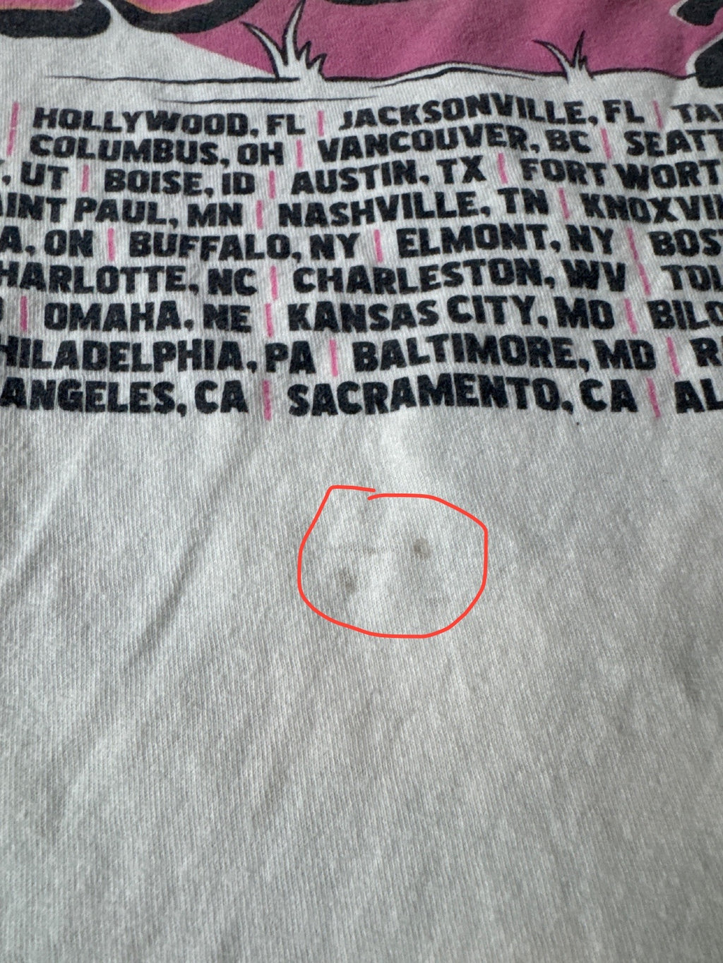 Tim McGraw Standing Room Only Tour 2024 Graphic Concert Tee