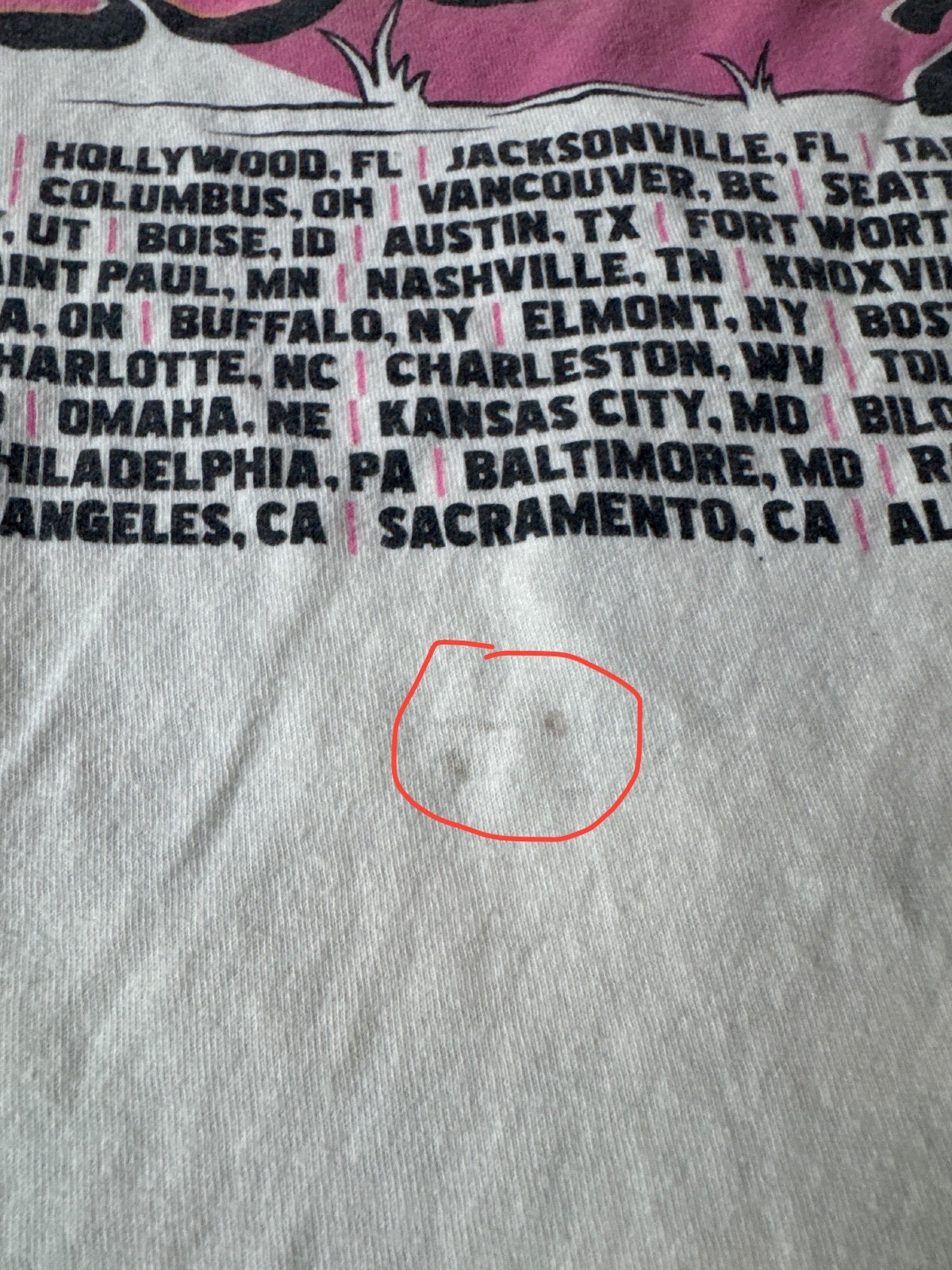 Tim McGraw Standing Room Only Tour 2024 Graphic Concert Tee